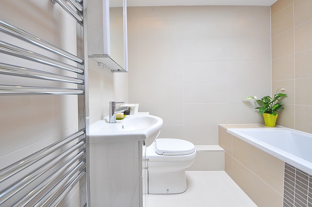 Ideas reformas baño pequeño